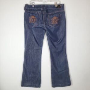 Express Jeans 12 Stella Bootleg Vintage Denim Metallic Sheen Embroidered Bootcut